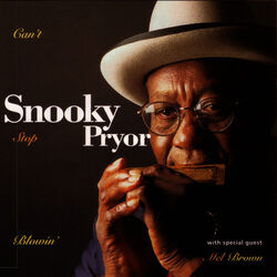 Picture of Snooky Pryor & Mel Brown