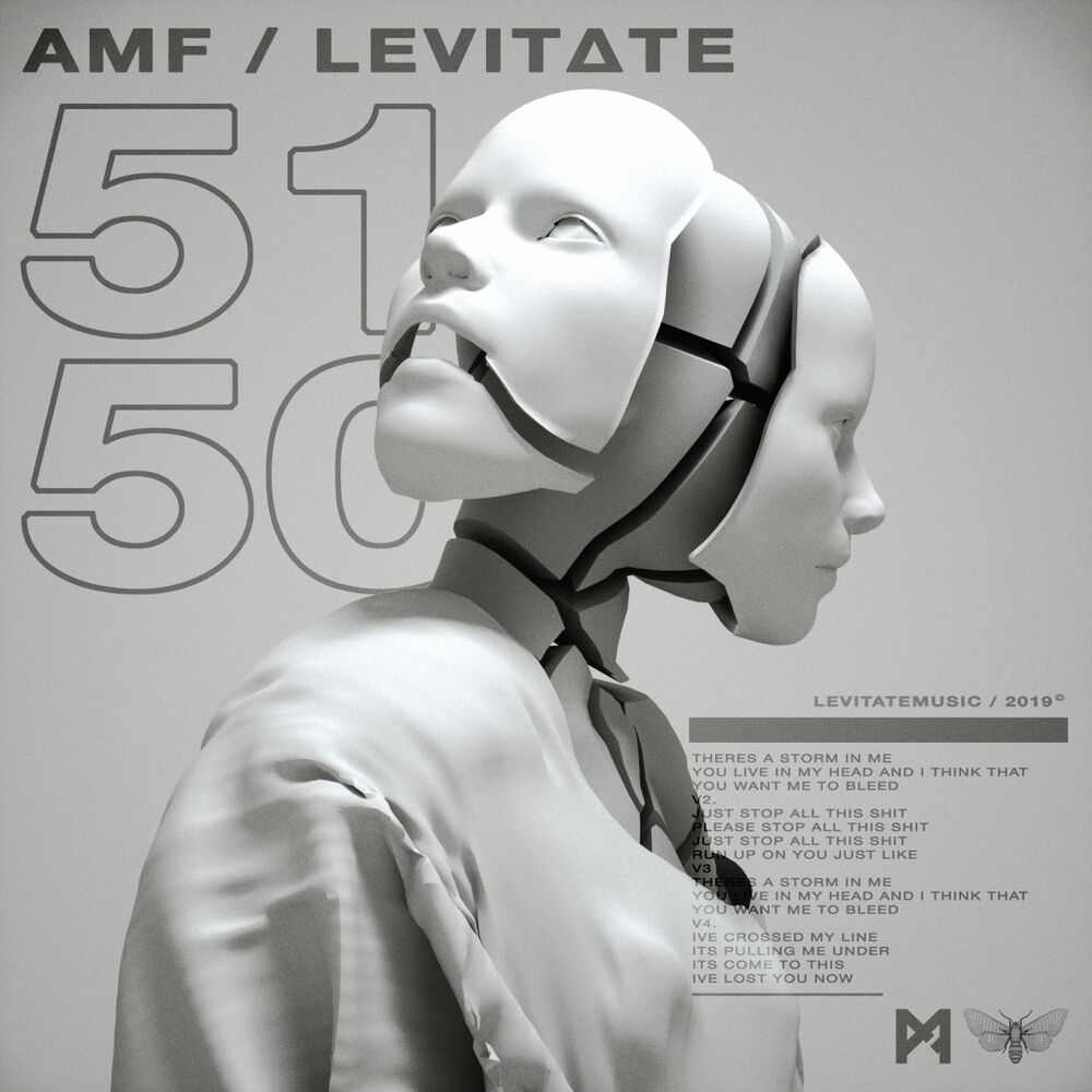 Picture of LEViT∆TE, AMF