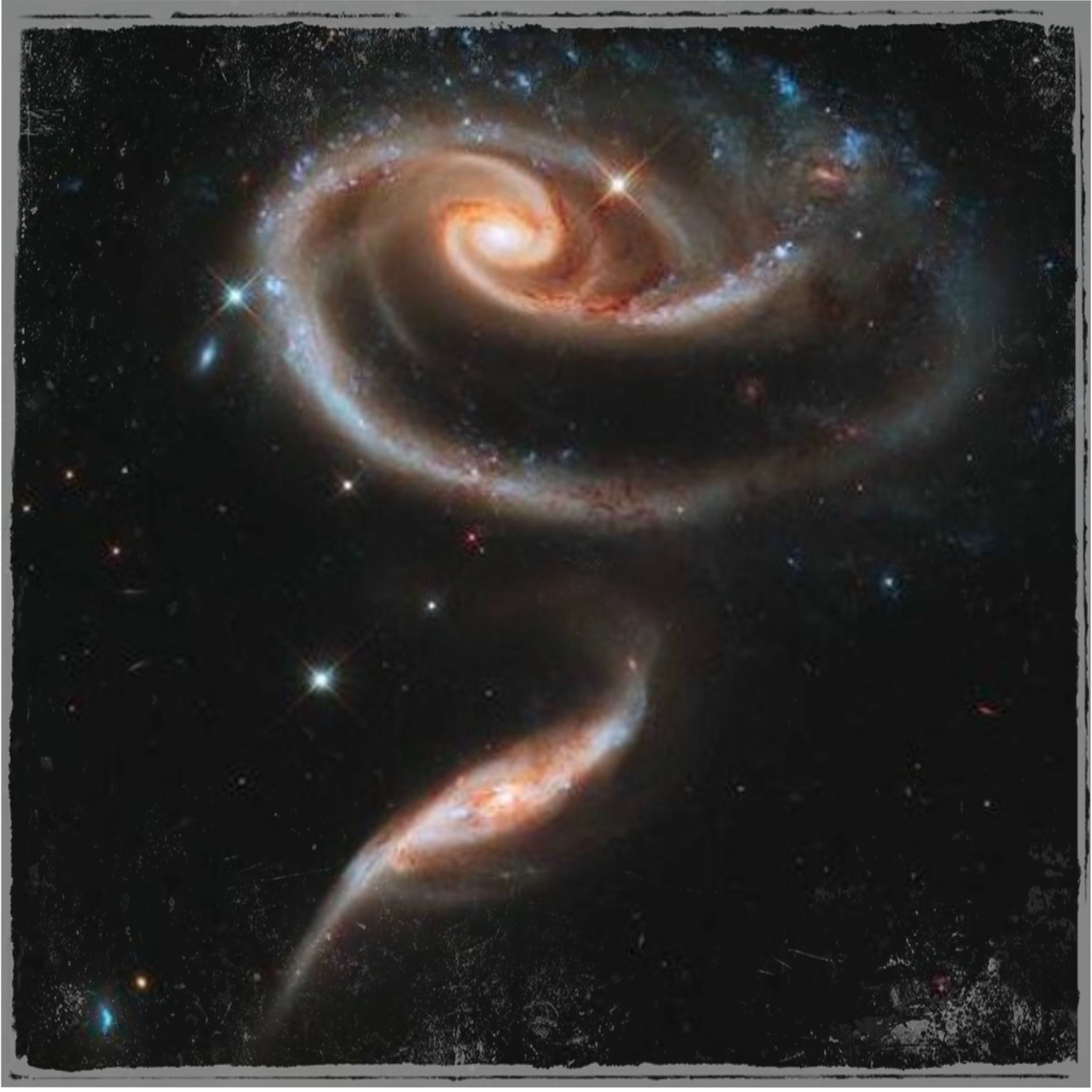 Loli Cosmica