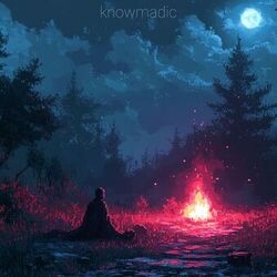 Picture of Knowmadic