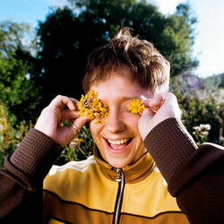 Picture of Man-Made Sunshine