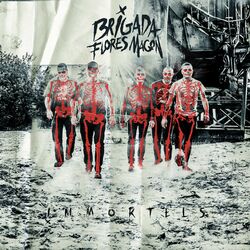Brigada Flores Magon