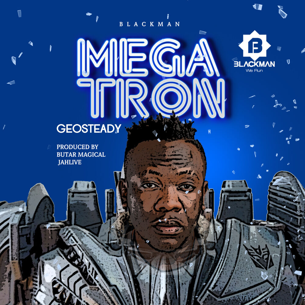 Picture of Geosteady