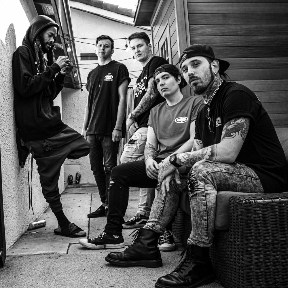 Picture of Dropout Kings