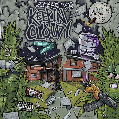 Cover image for LAZER DIM 700