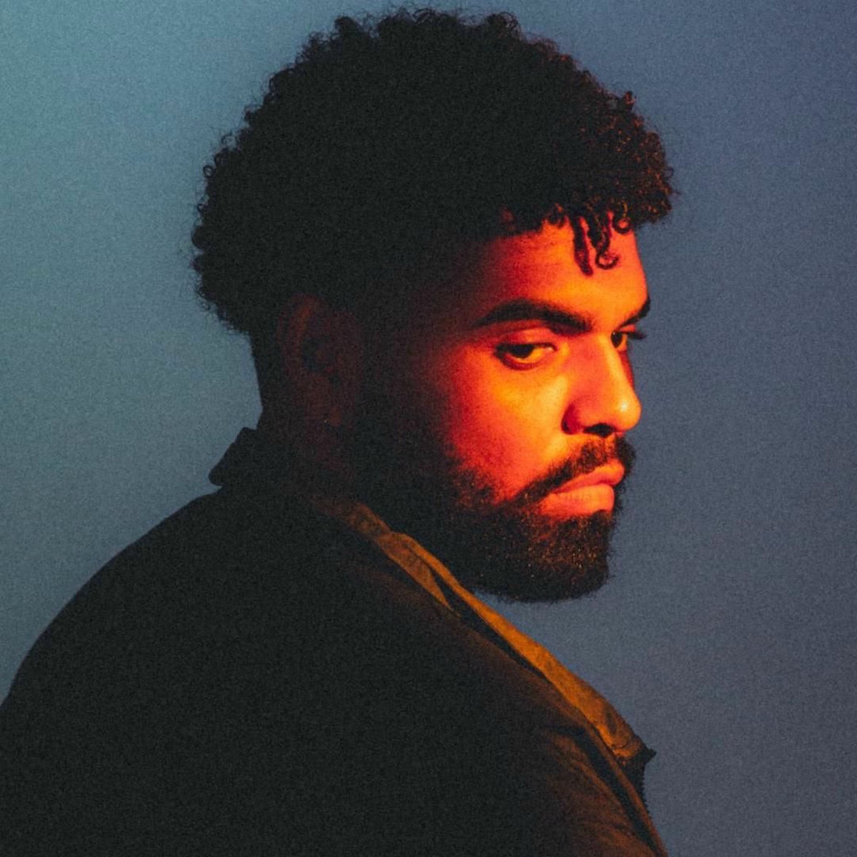 Artist picture of Wakyin