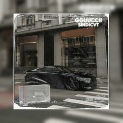 Picture of SINDICVT
