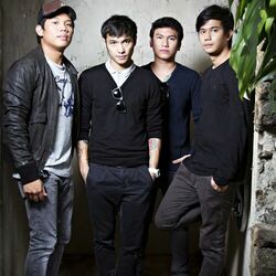 Picture of Callalily