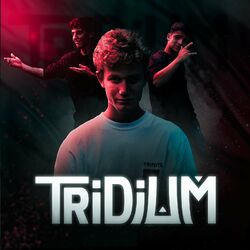 Picture of Tridium
