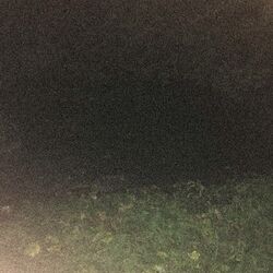 Picture of 9smkr
