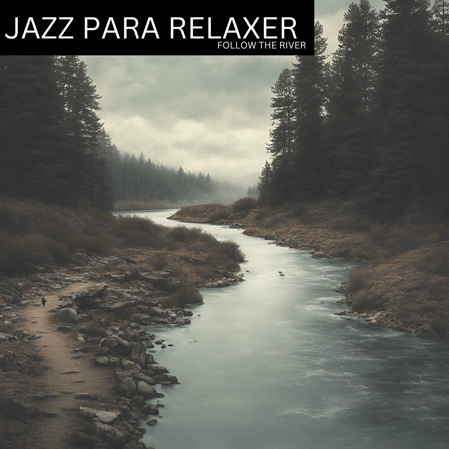 Artist picture of Jazz Para Relaxar