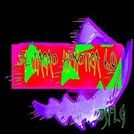 DJ FLG