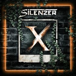 Picture of Silenzer