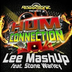 Picture of Lee Mashup