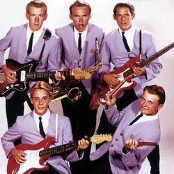 Picture of The Surfaris