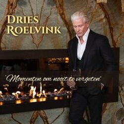 Dries Roelvink