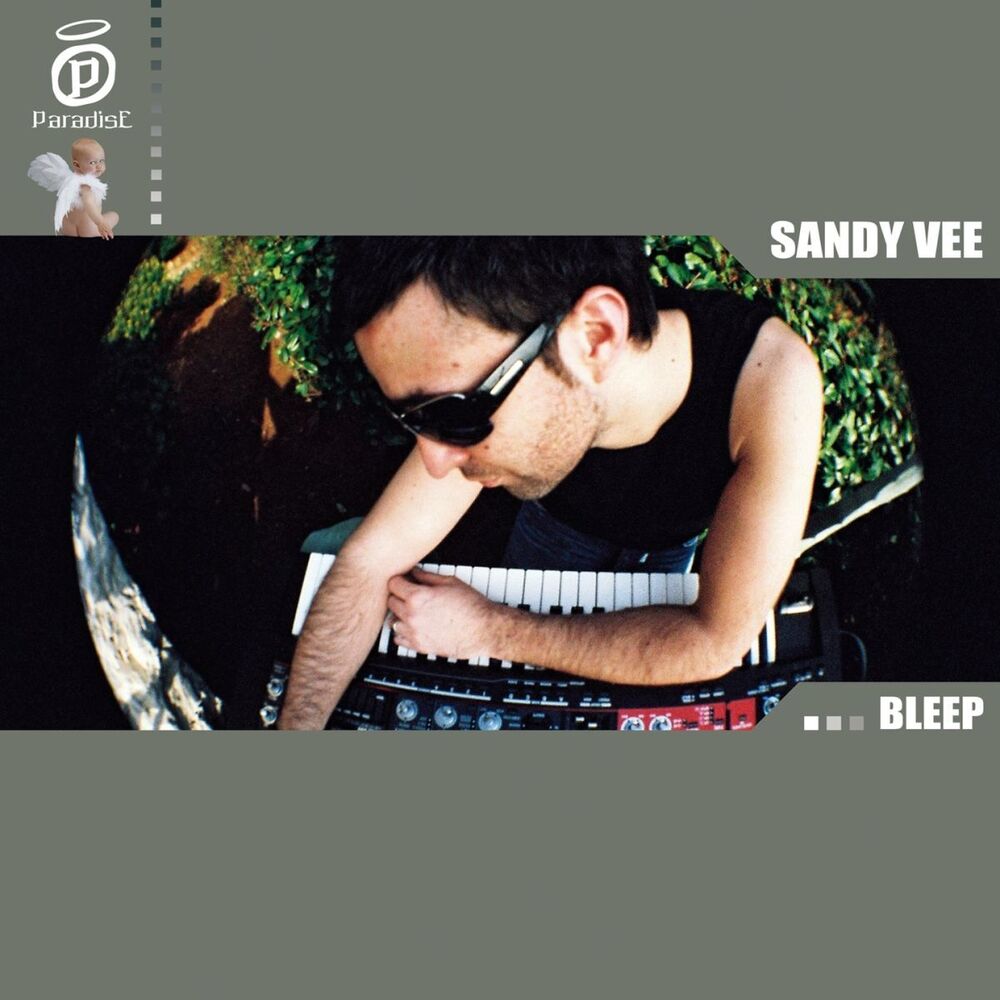 Picture of Sandy Vee