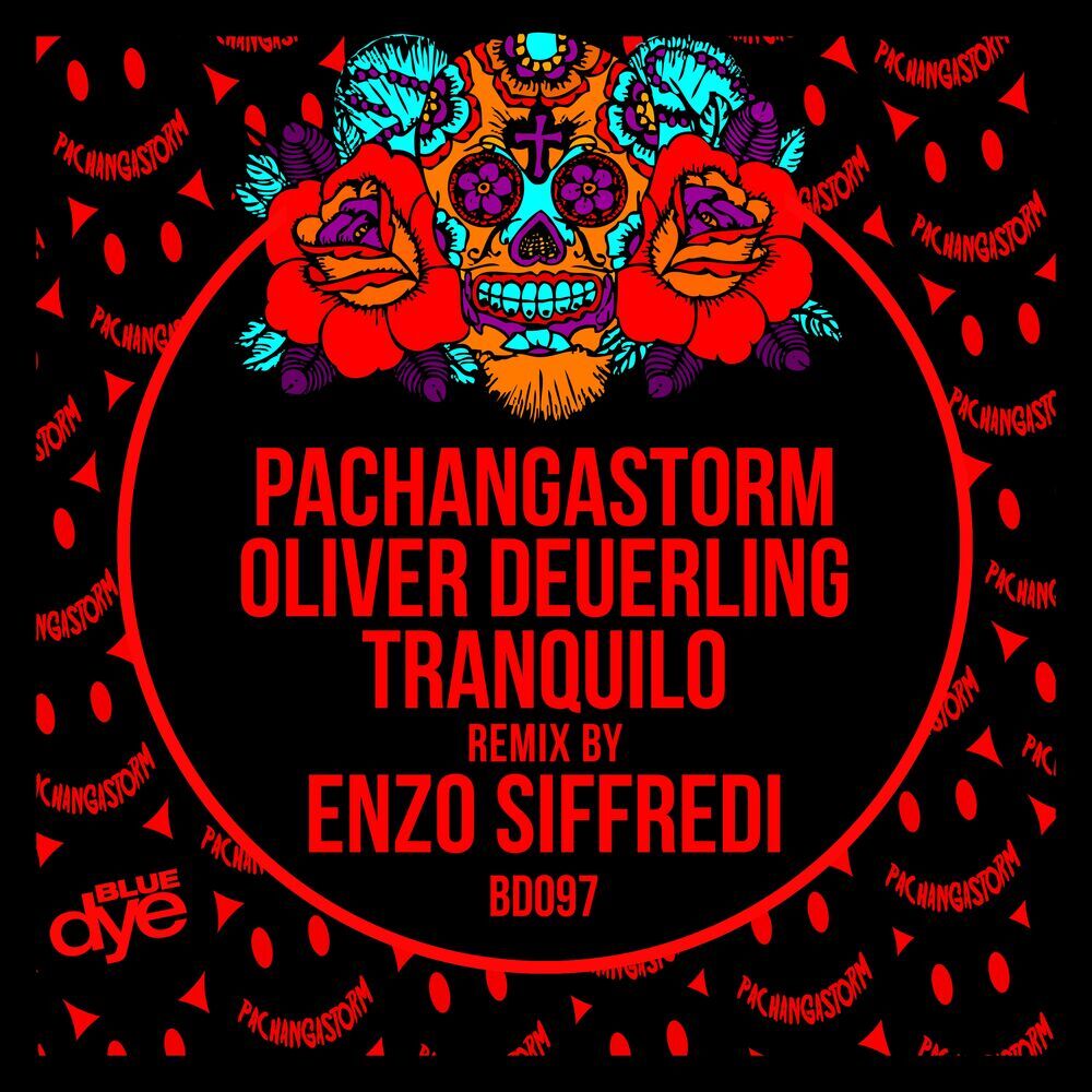 Picture of PachangaStorm & Oliver Deuerling