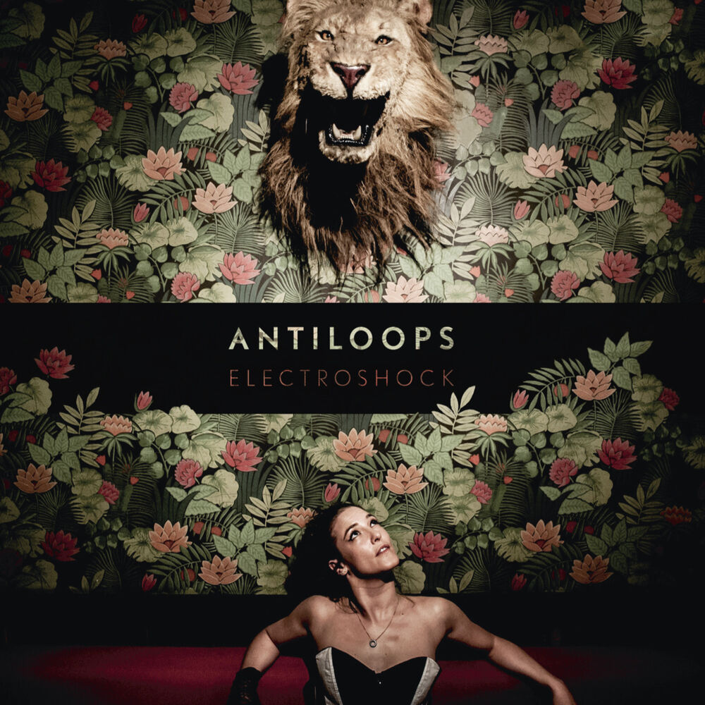 Picture of Antiloops