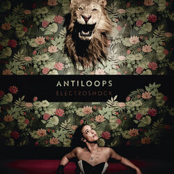 Picture of Antiloops