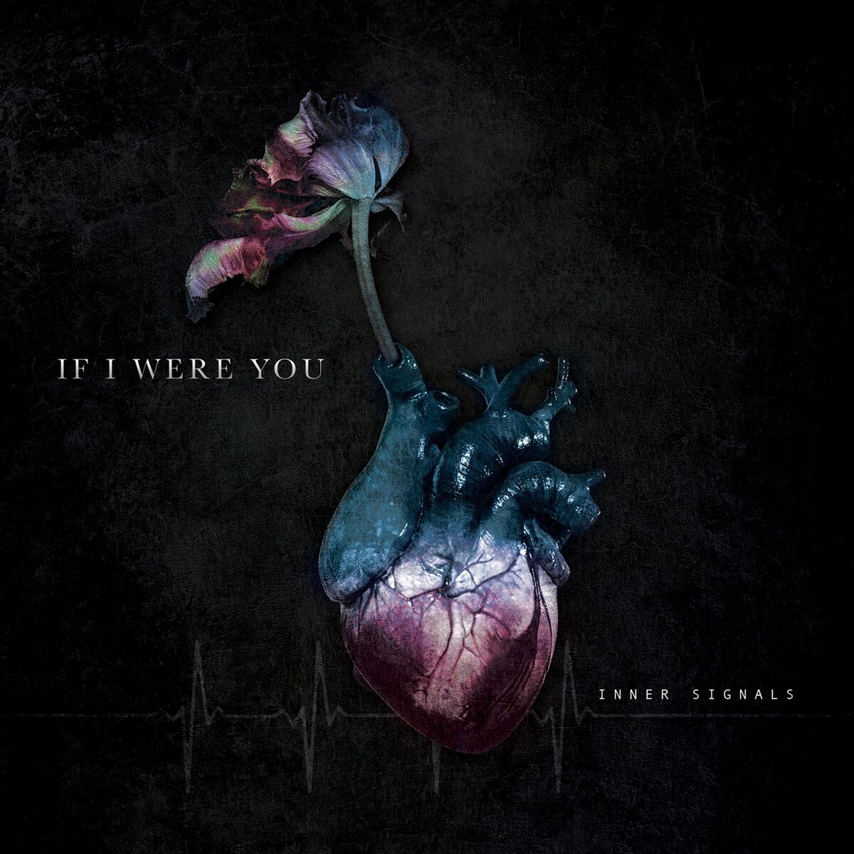 If I Were You