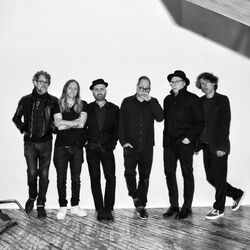 Picture of The Hold Steady