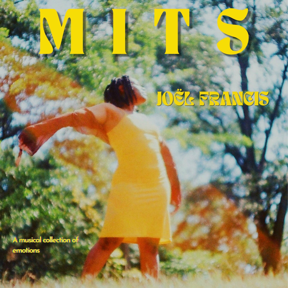 Photo de l'artiste Joël Francis