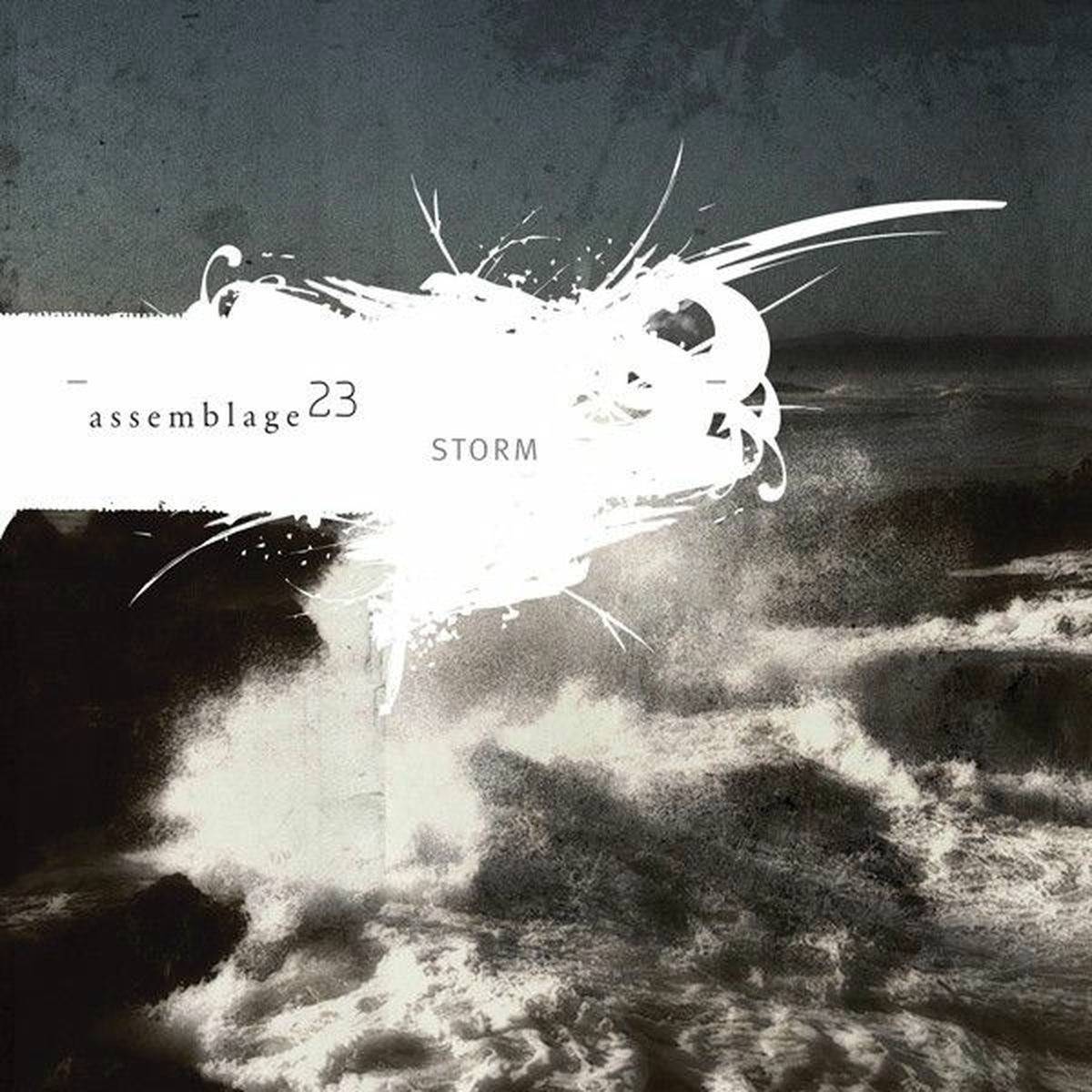 Assemblage 23