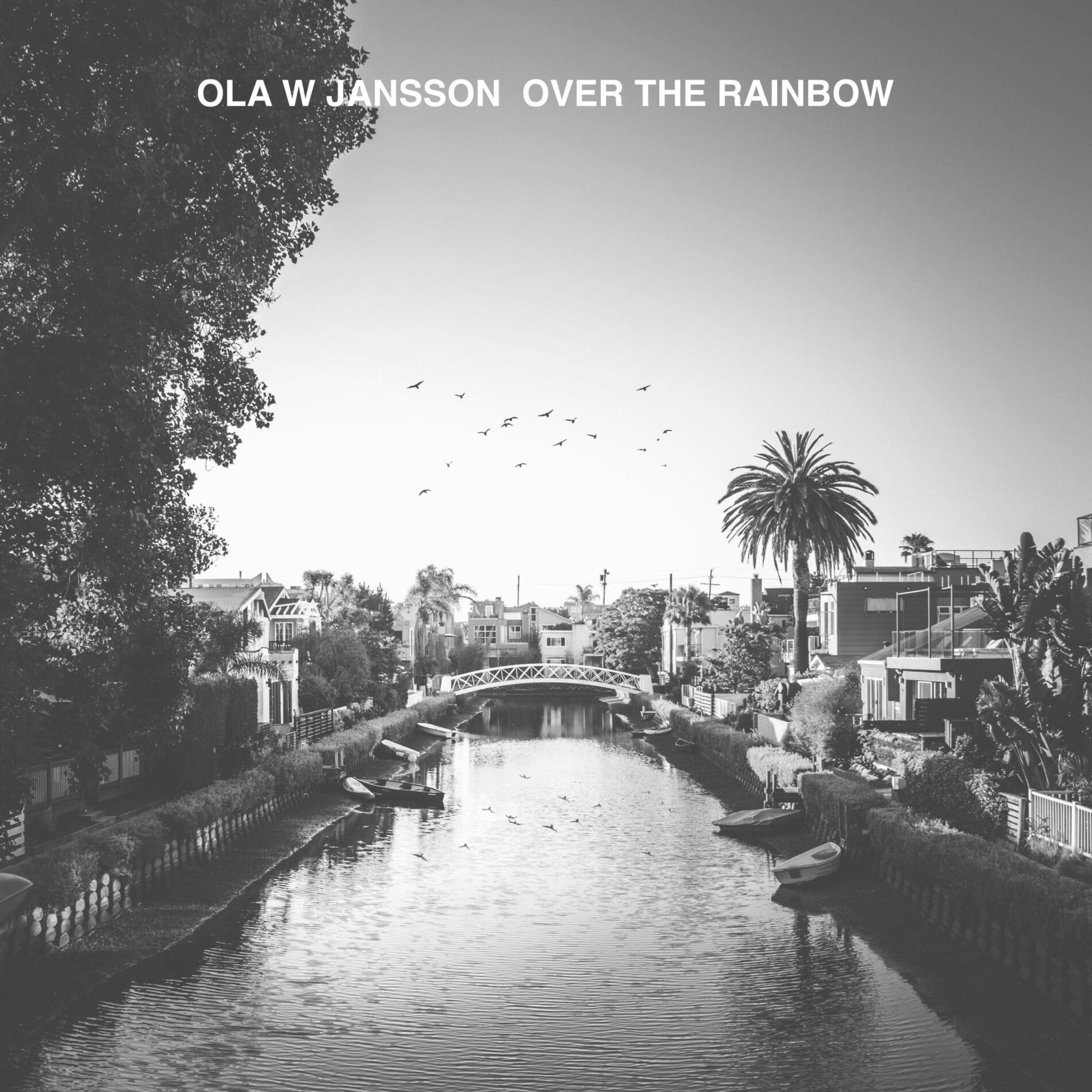 Ola W Jansson