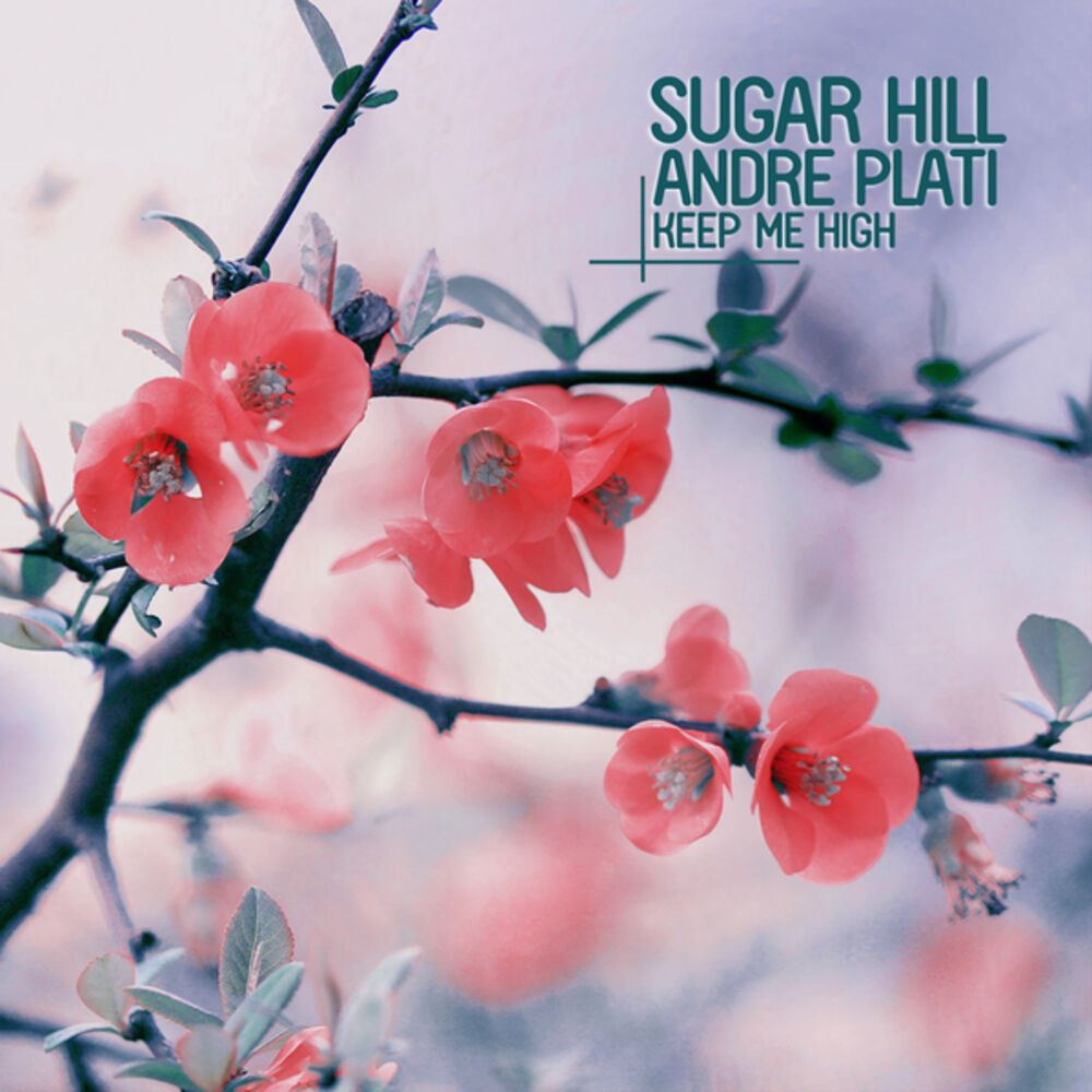 Picture of Sugar Hill