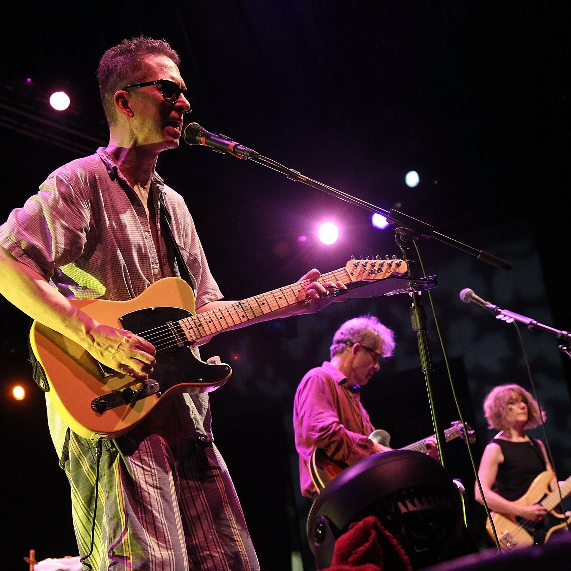 The Feelies