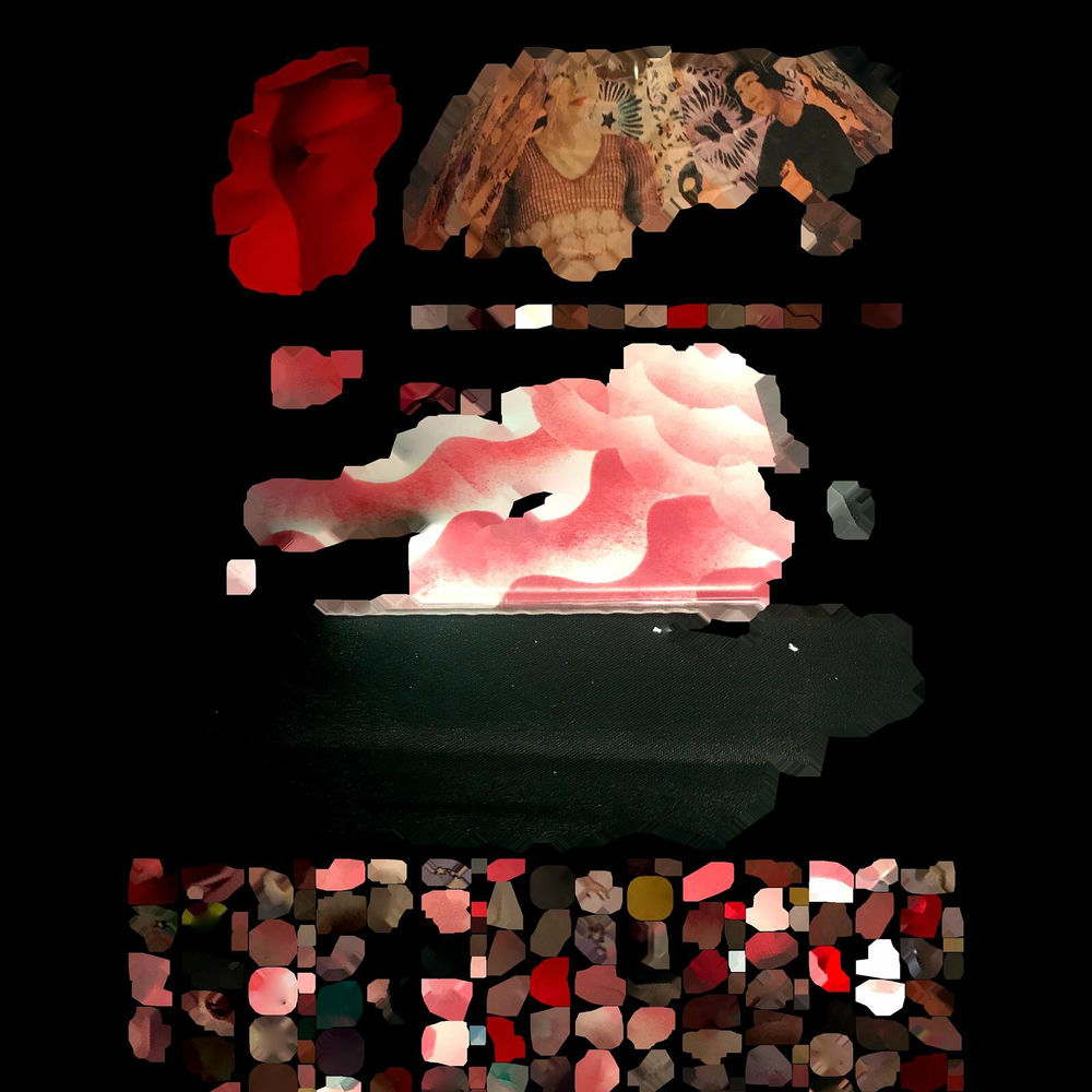 Photo de l'artiste Fossil Tree