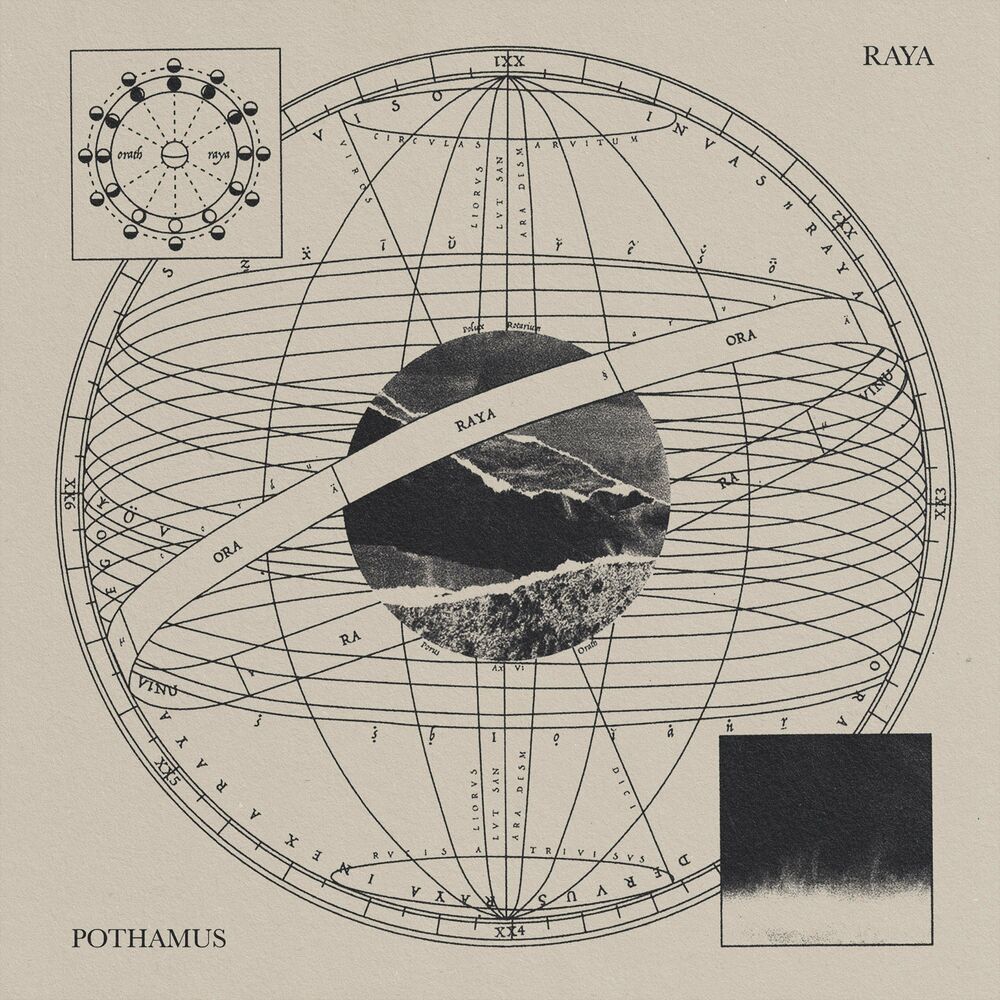 Picture of Pothamus