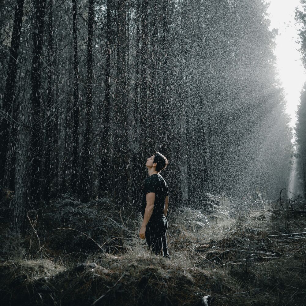 Picture of Natural Awakening