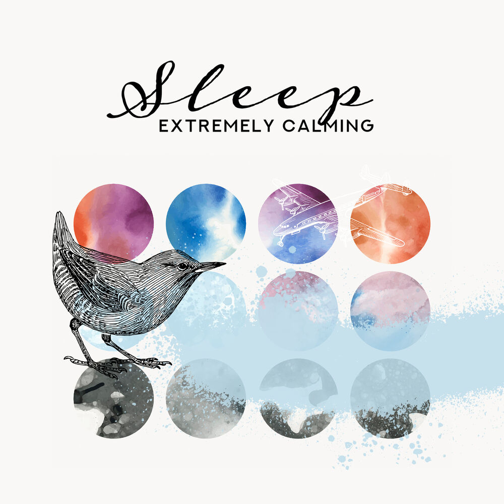 Picture of Sleep Dream Music Academy