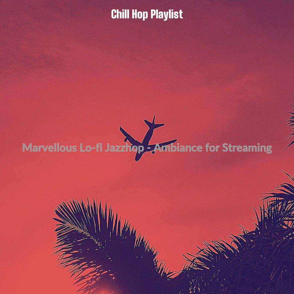 Picture of Chill Hop Playlist