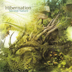 Picture of Hibernation
