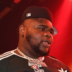 Picture of Fatboy SSE