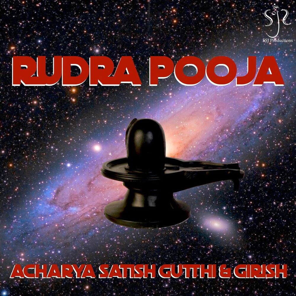 Picture of Acharya Satish Gutthi