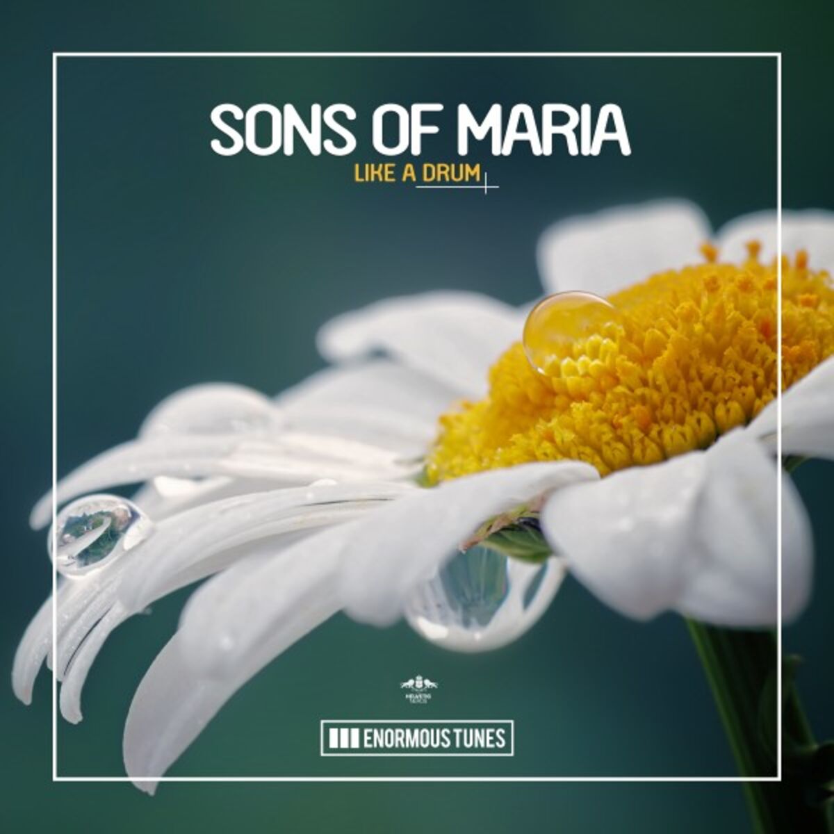 Artist picture of Sons Of Maria