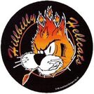 Hillbilly Hellcats