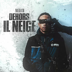 Meech ZG