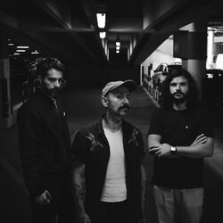 Picture of Black Elephant