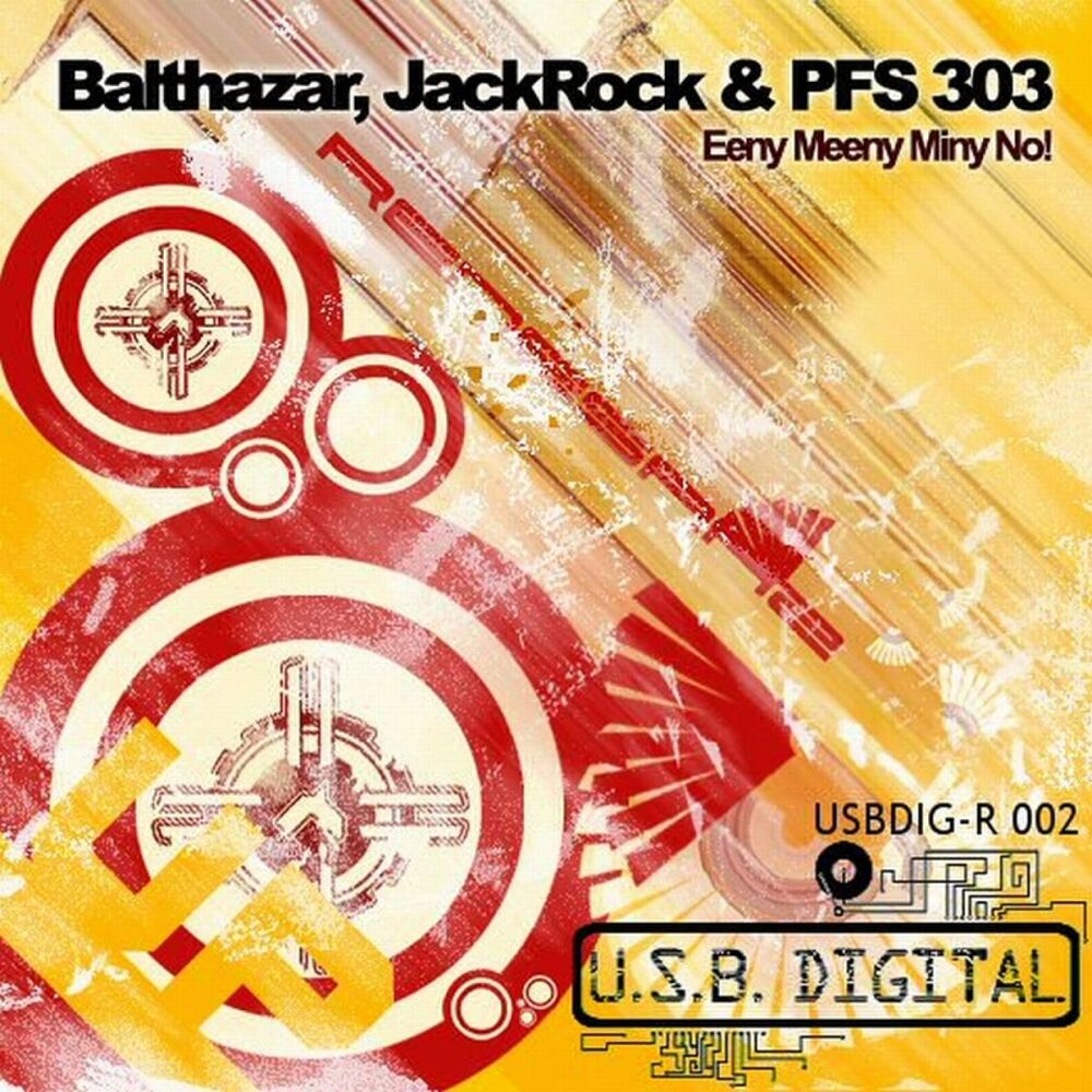 Picture of PFS 303