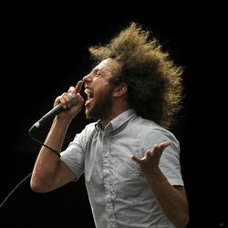 Picture of One Day As A Lion