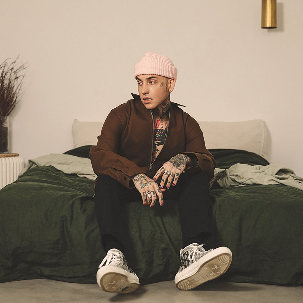 Picture of blackbear