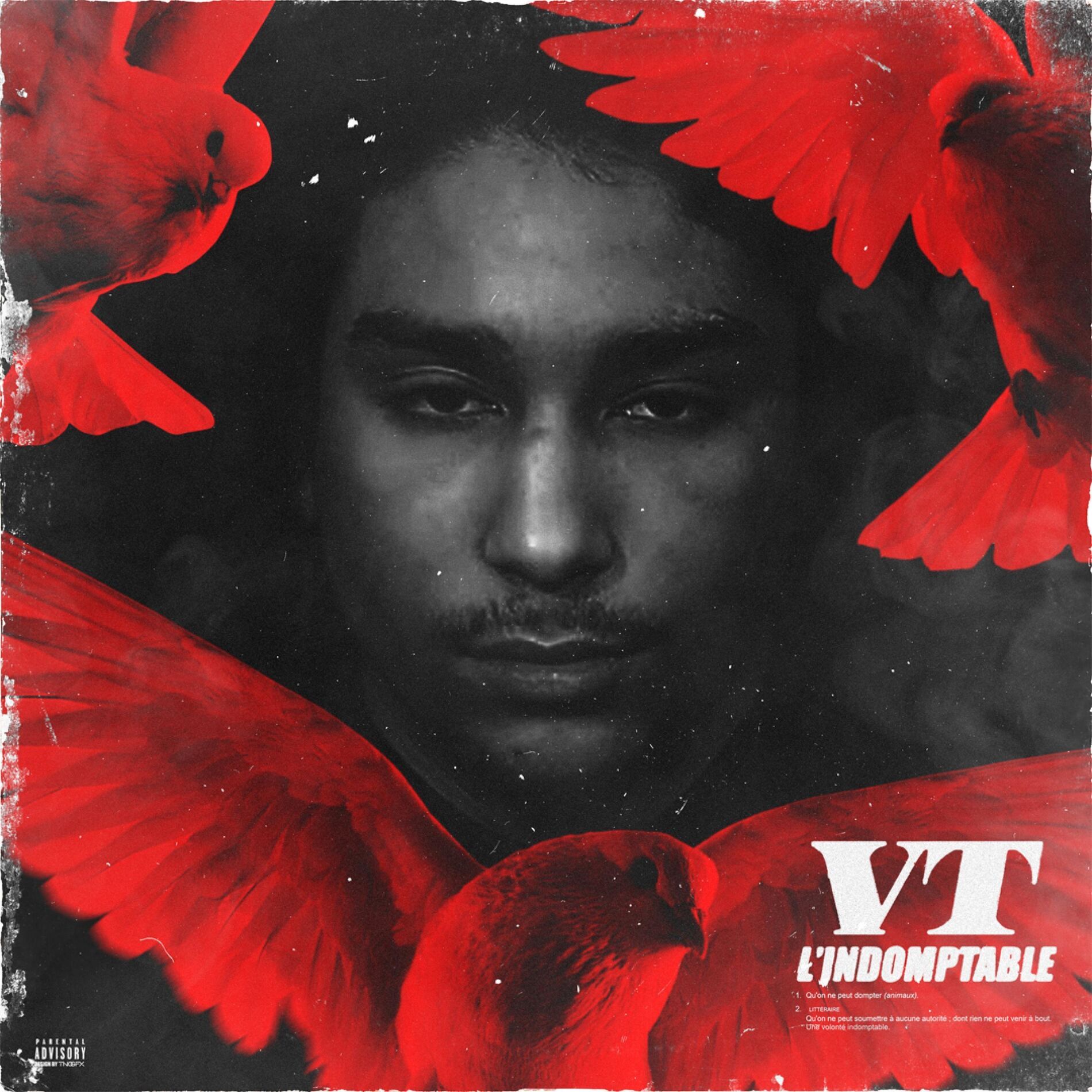 Vt
