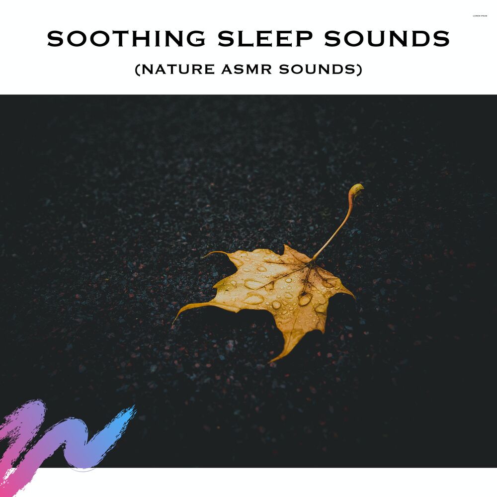 Picture of Rain Noise Sleep