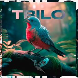 Picture of Trilo