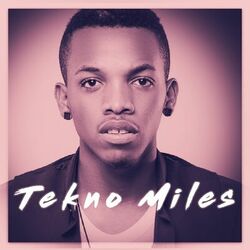 Picture of Tekno Miles
